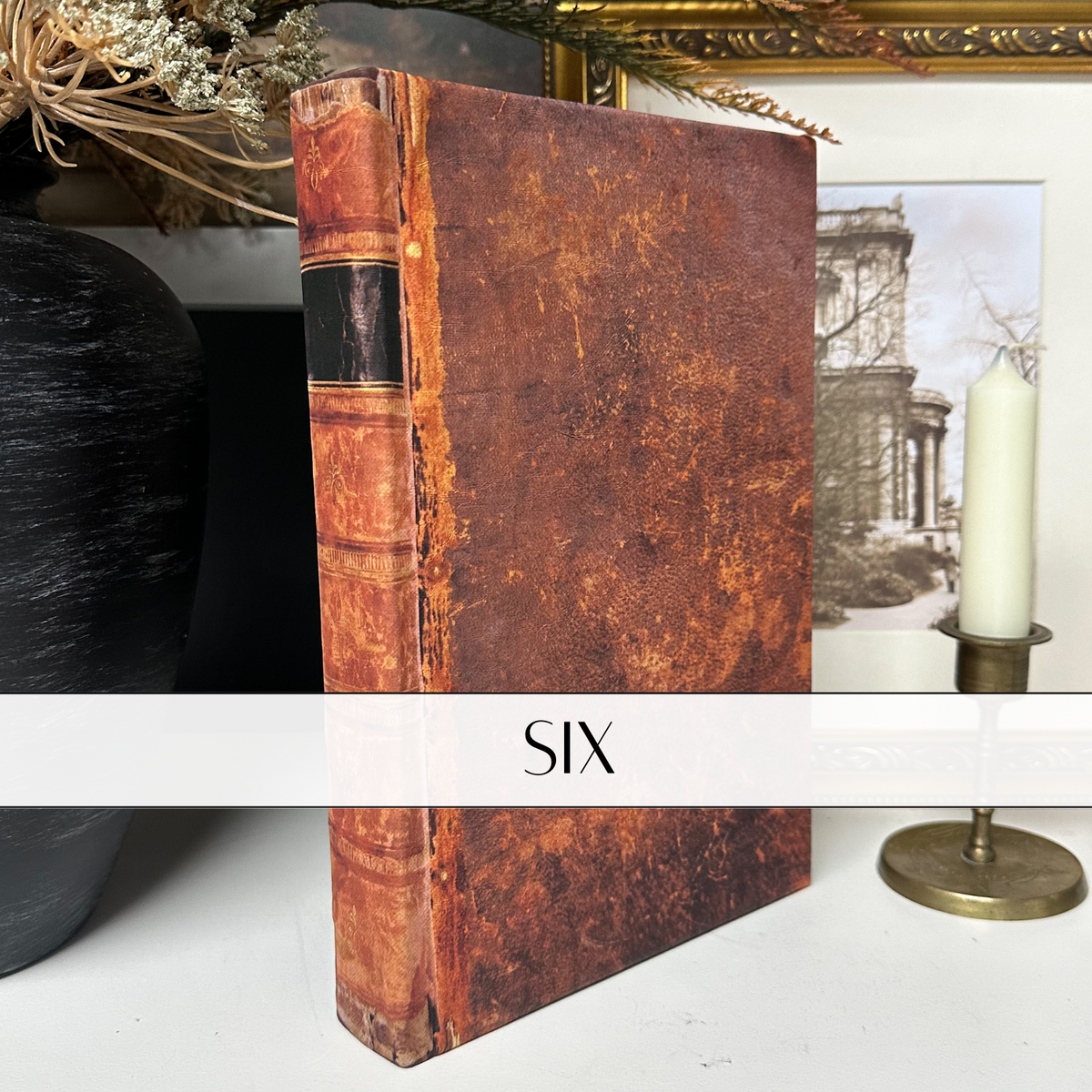 The Collected Library Wrapped Books — Build Your Set
