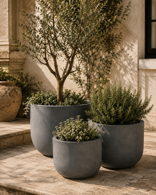 The Willow Courtyard Planter Collection