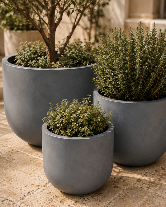 The Willow Courtyard Planter Collection