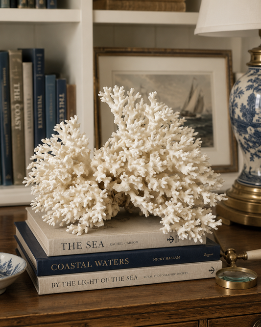 The Sandbar Vintage Lace Coral Specimen