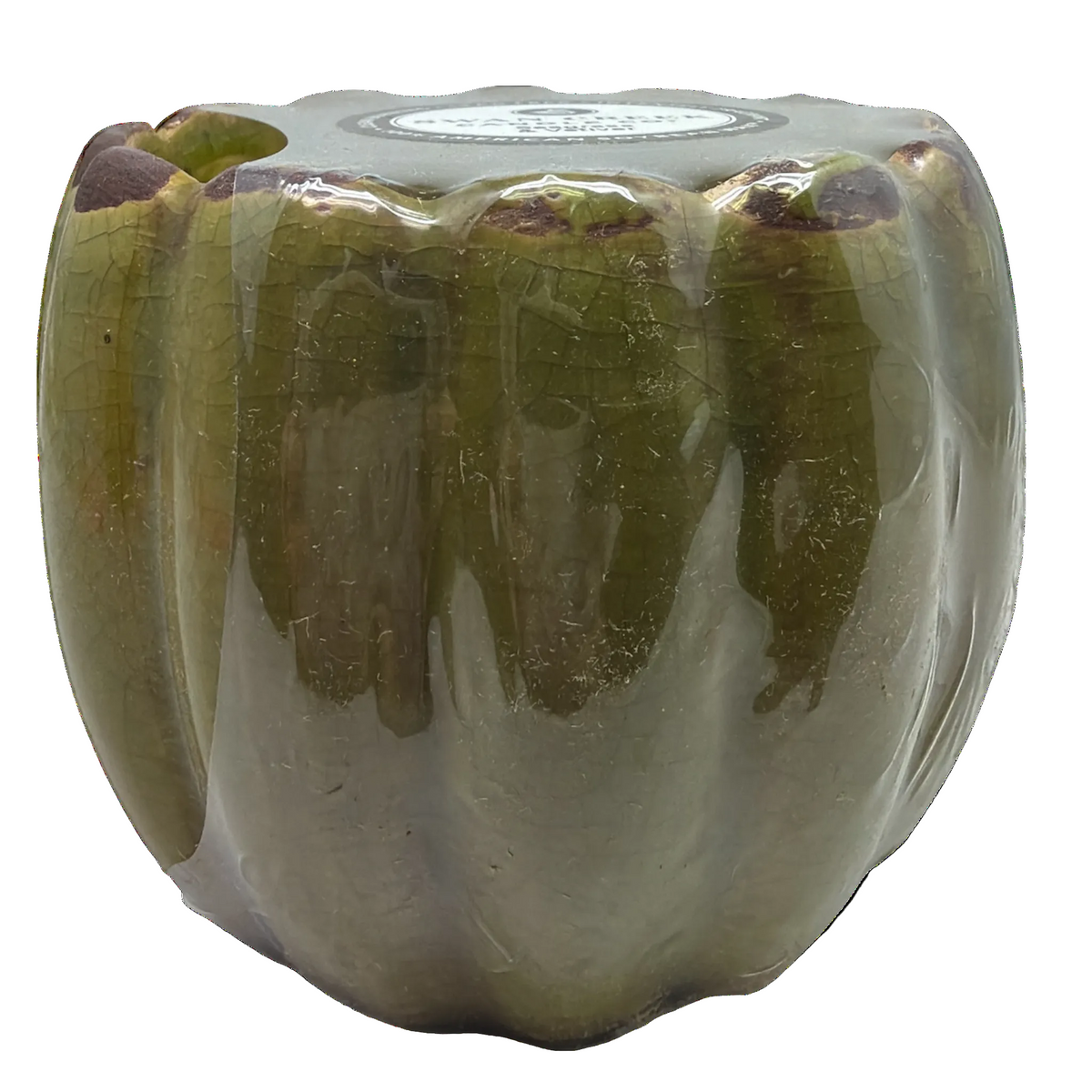 Green ceramic vase with a textured surface on a white background