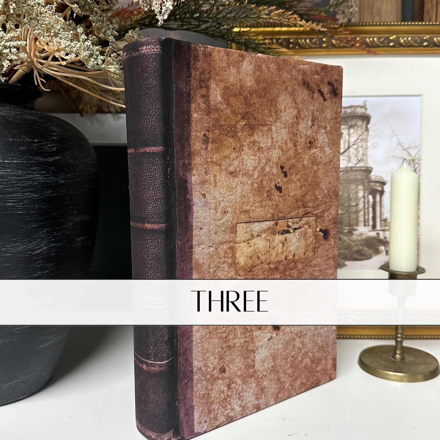 The Collected Library Wrapped Books — Build Your Set