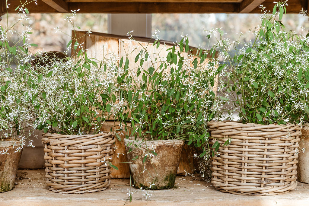 Handwoven Rattan Garden Cachepots