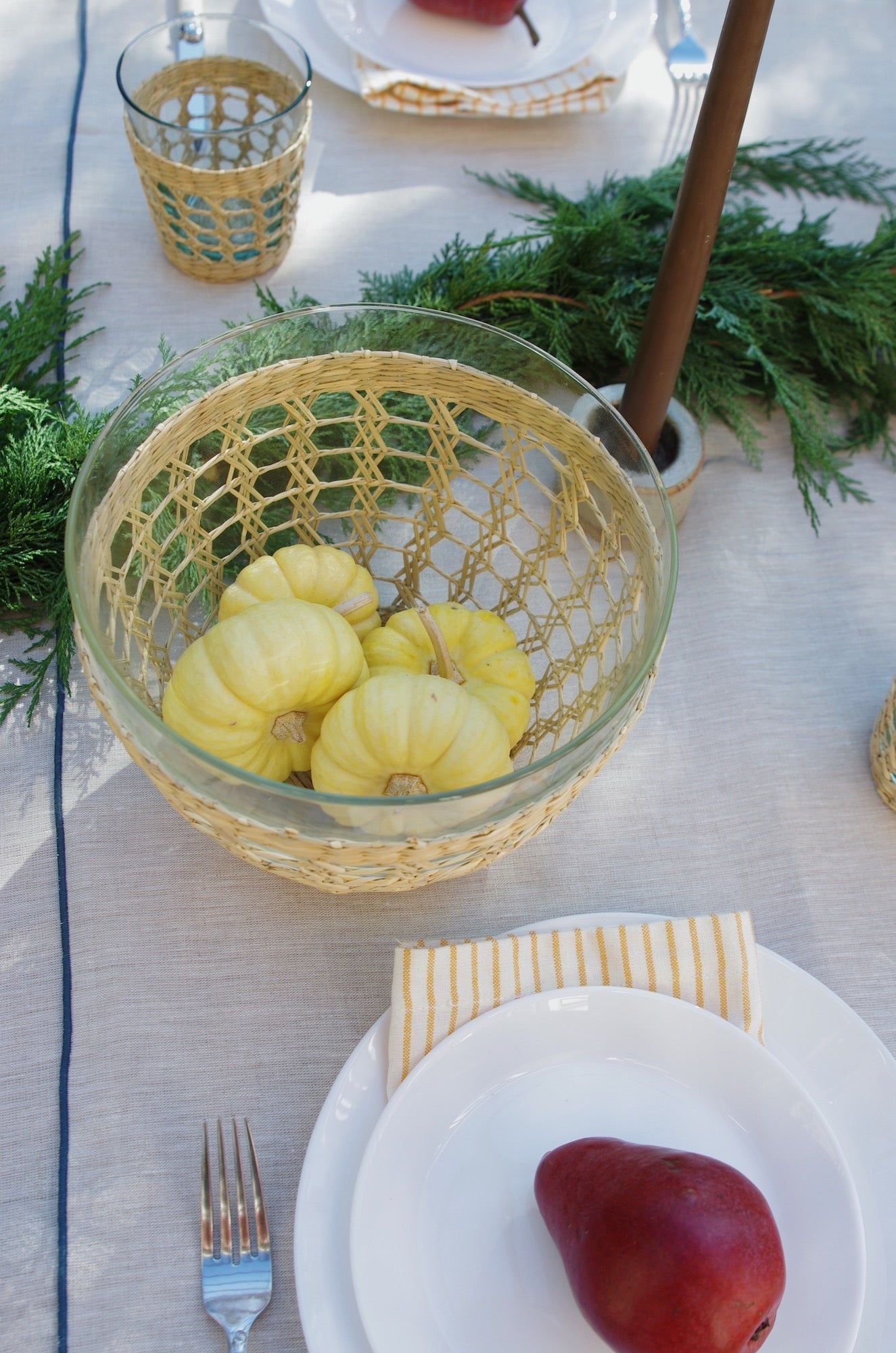 Seagrass Cage Lrg Bowl