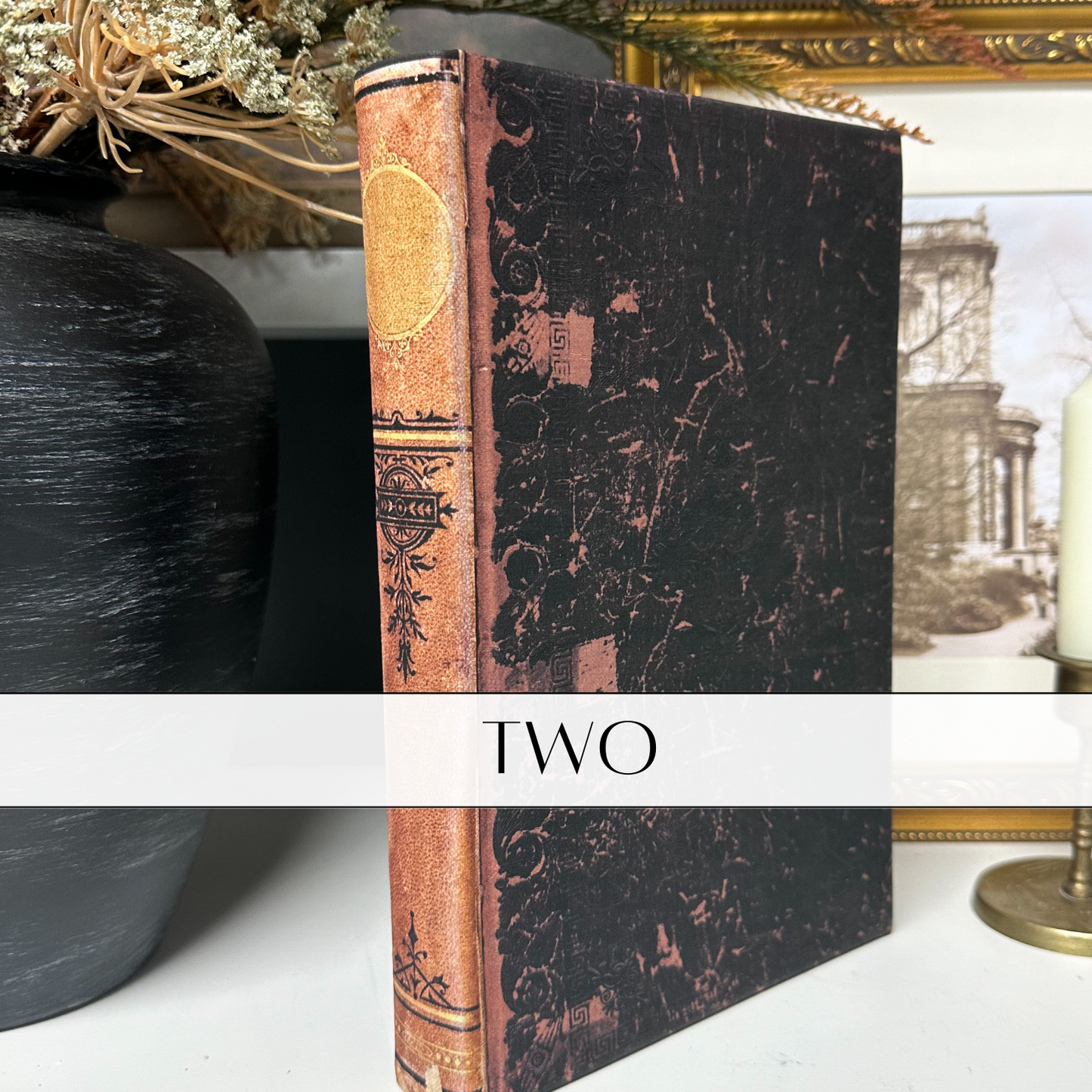 The Collected Library Wrapped Books — Build Your Set