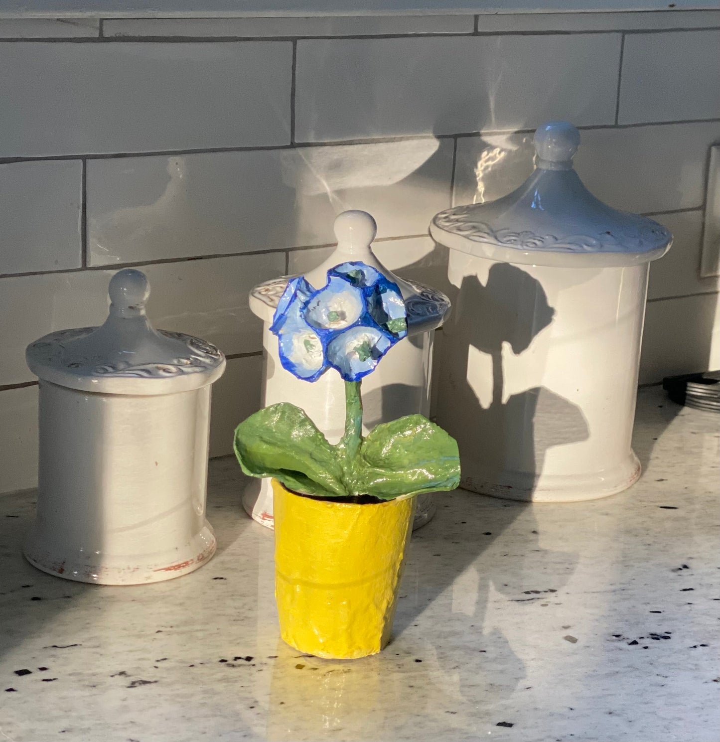 Dana Gibson Blue Primula  Pot