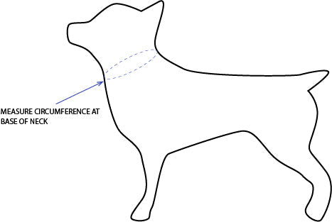 'Aiden' Reversible Pet Bandana