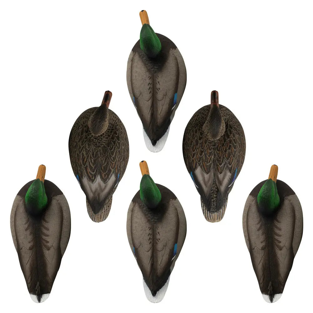 Set of six duck decoys on a white background