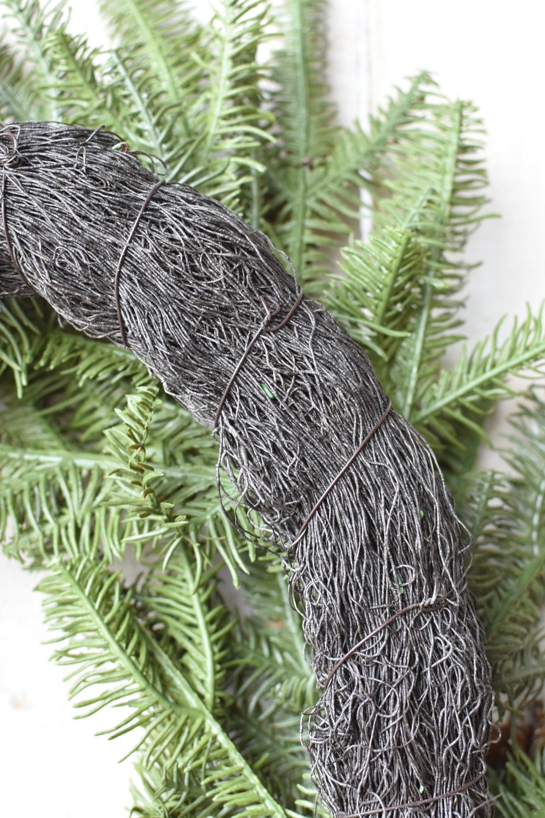 Close-up of a textured gray vine against green leaves