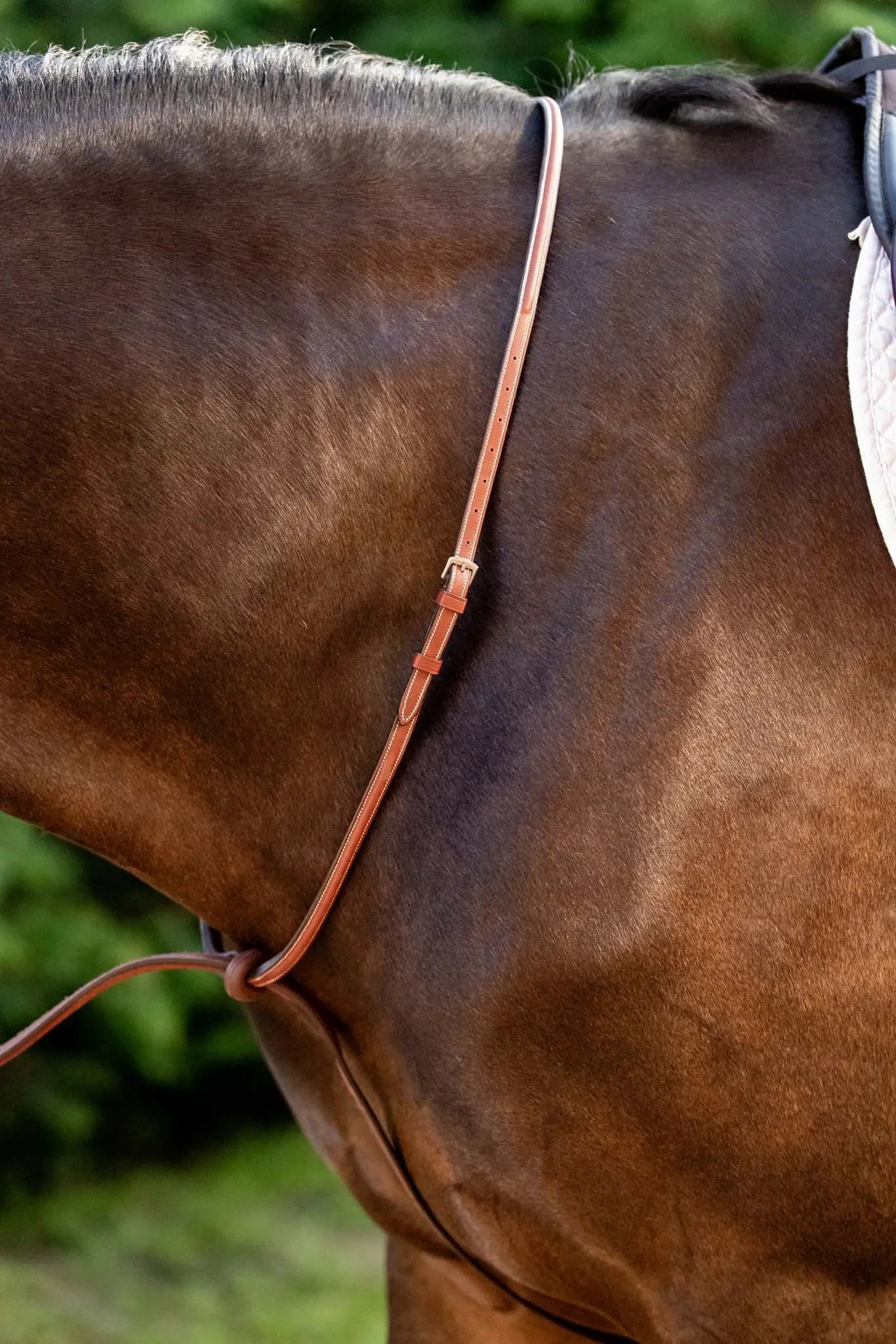 Huntley Equestrian Schooling Standing Martingale, Italian Leather