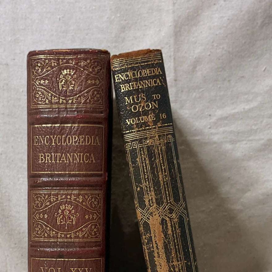 The Admiral's Library Vintage Leather-Bound Books – Large