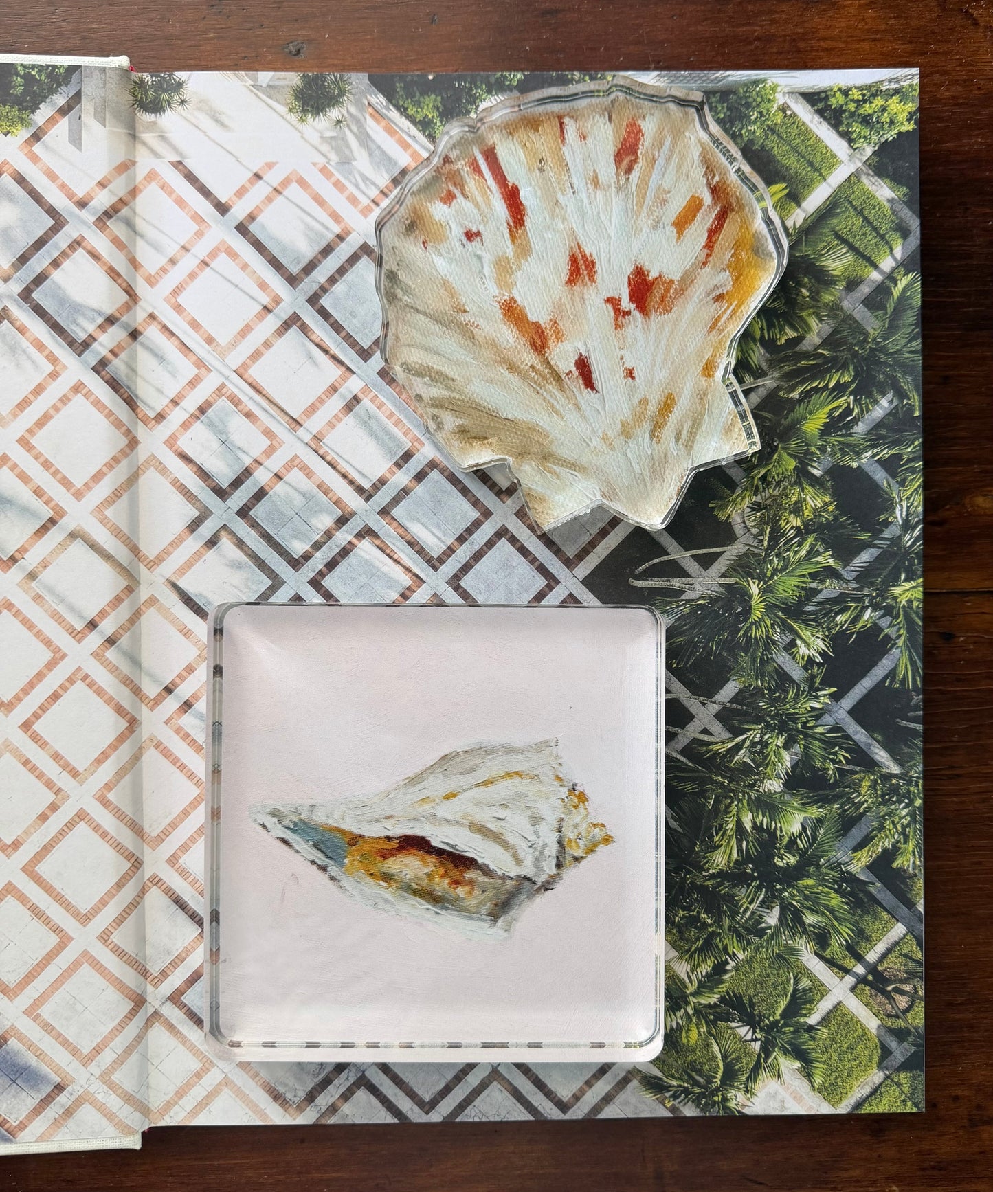 Whelk Acrylic Art Block