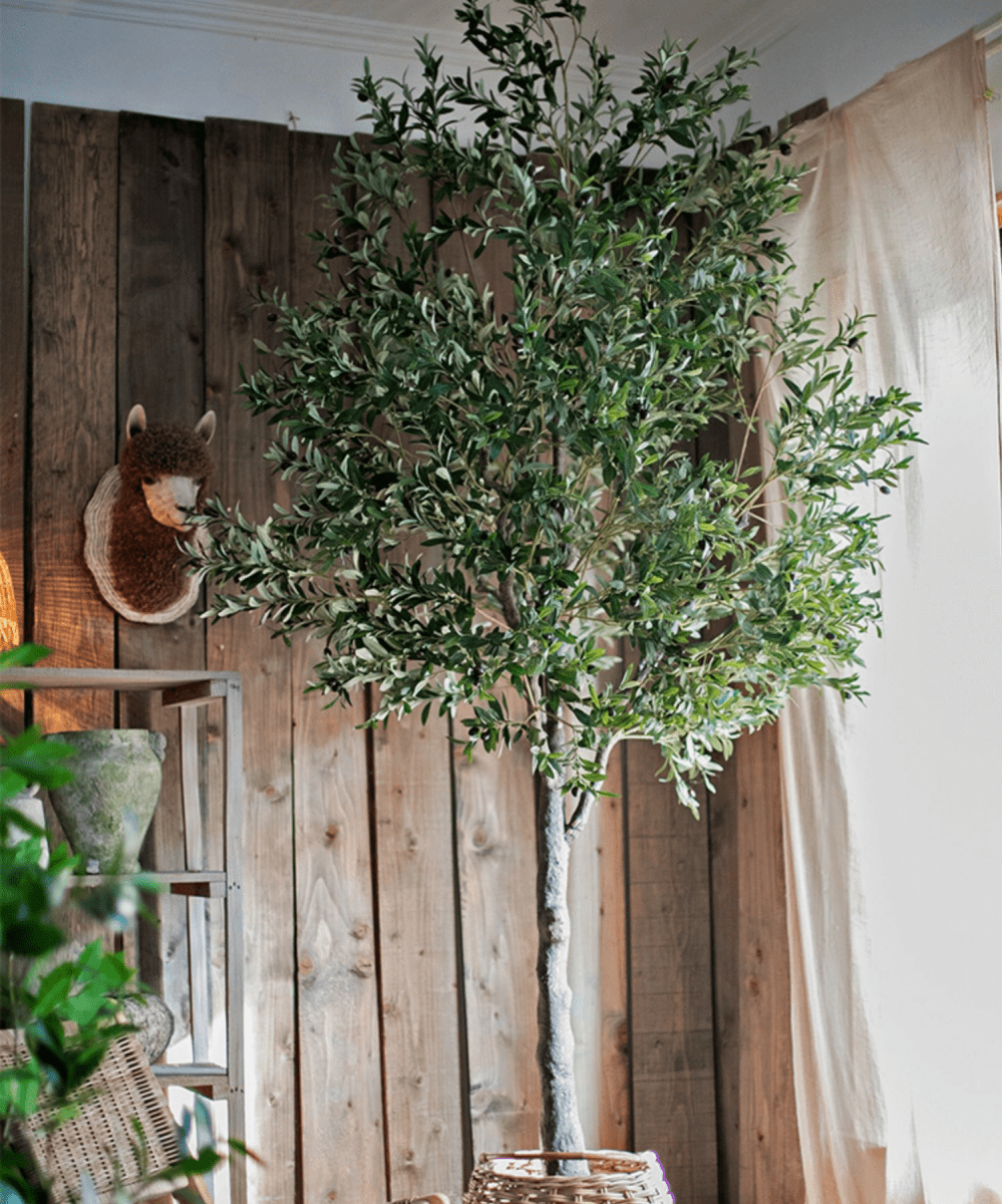 Extra Large Artificial Olive Tree 118" Tall