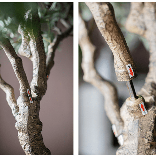Extra Large Artificial Olive Tree 118" Tall