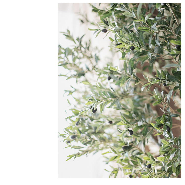 Extra Large Artificial Olive Tree 118" Tall