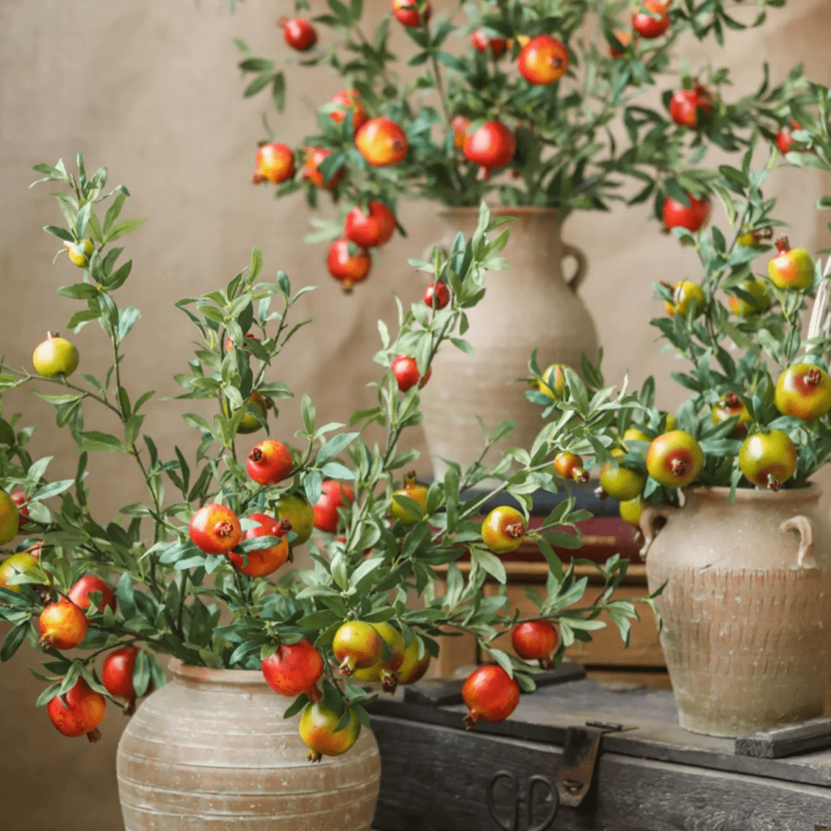 Estate Pomegranate Branch