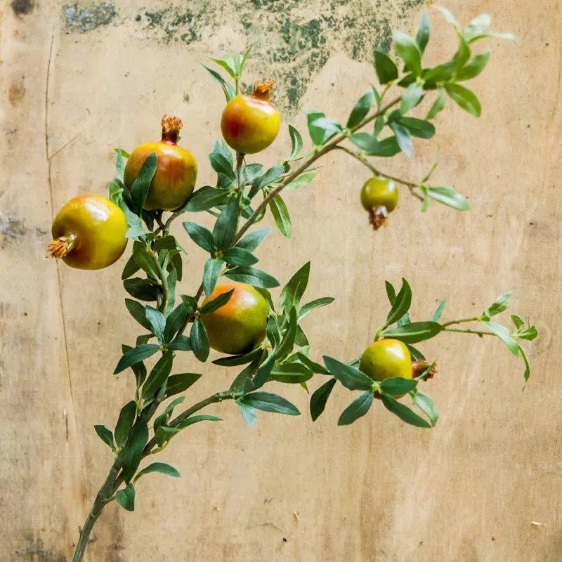 Estate Pomegranate Branch