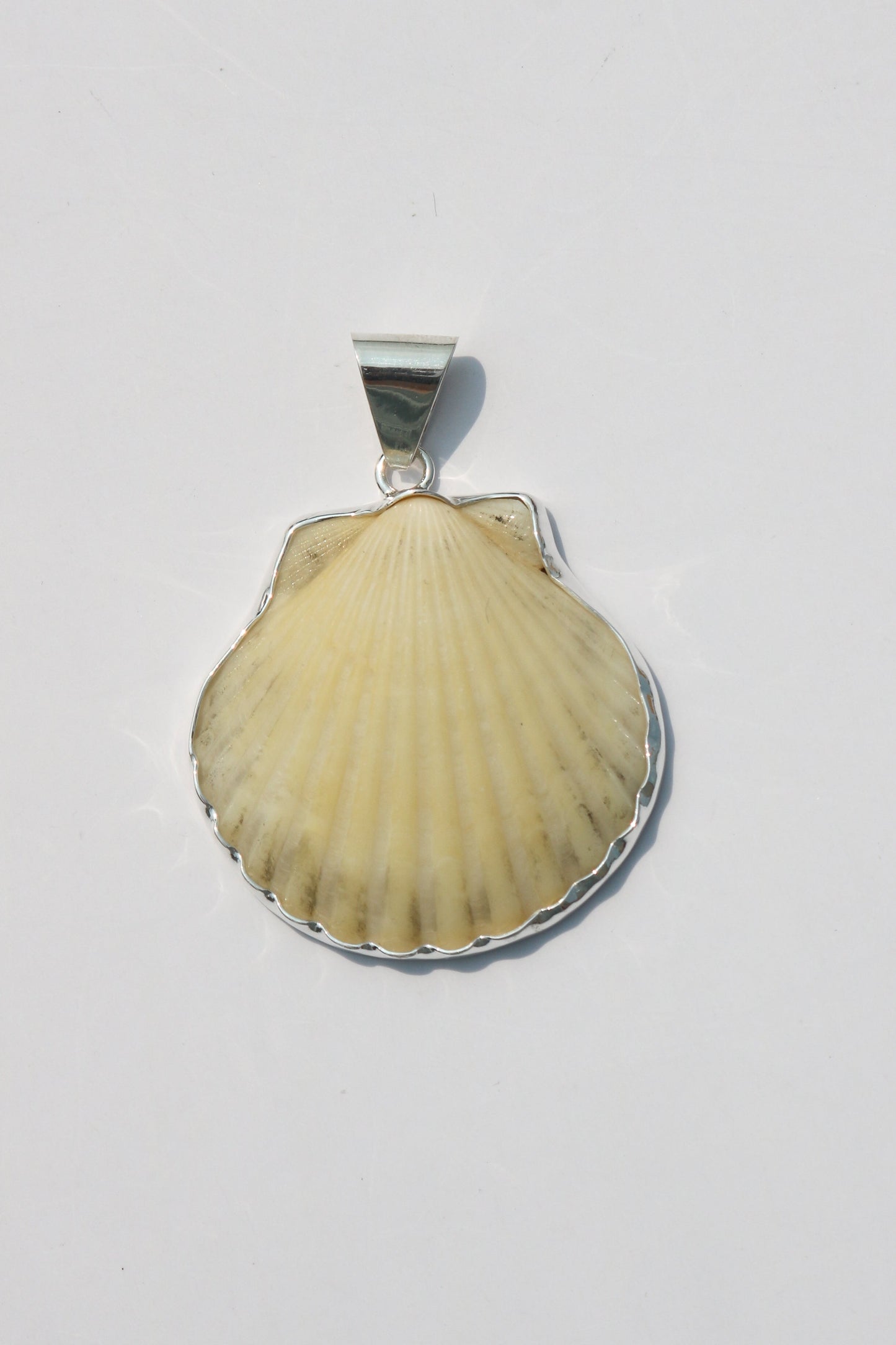 Large Shell Pendants