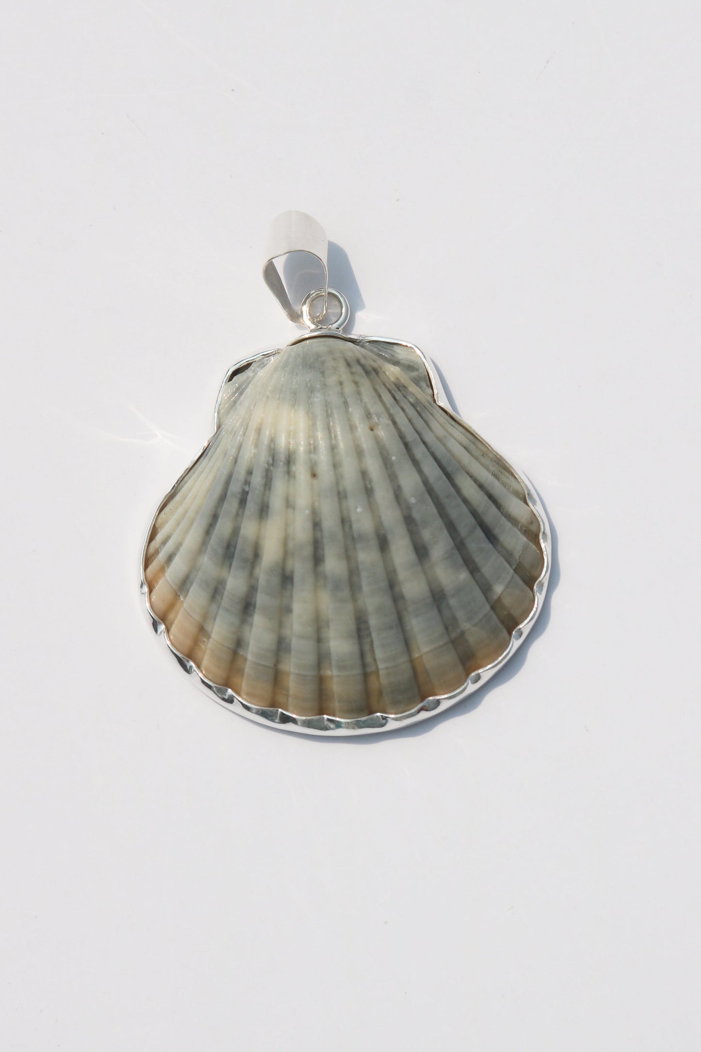 Large Shell Pendants
