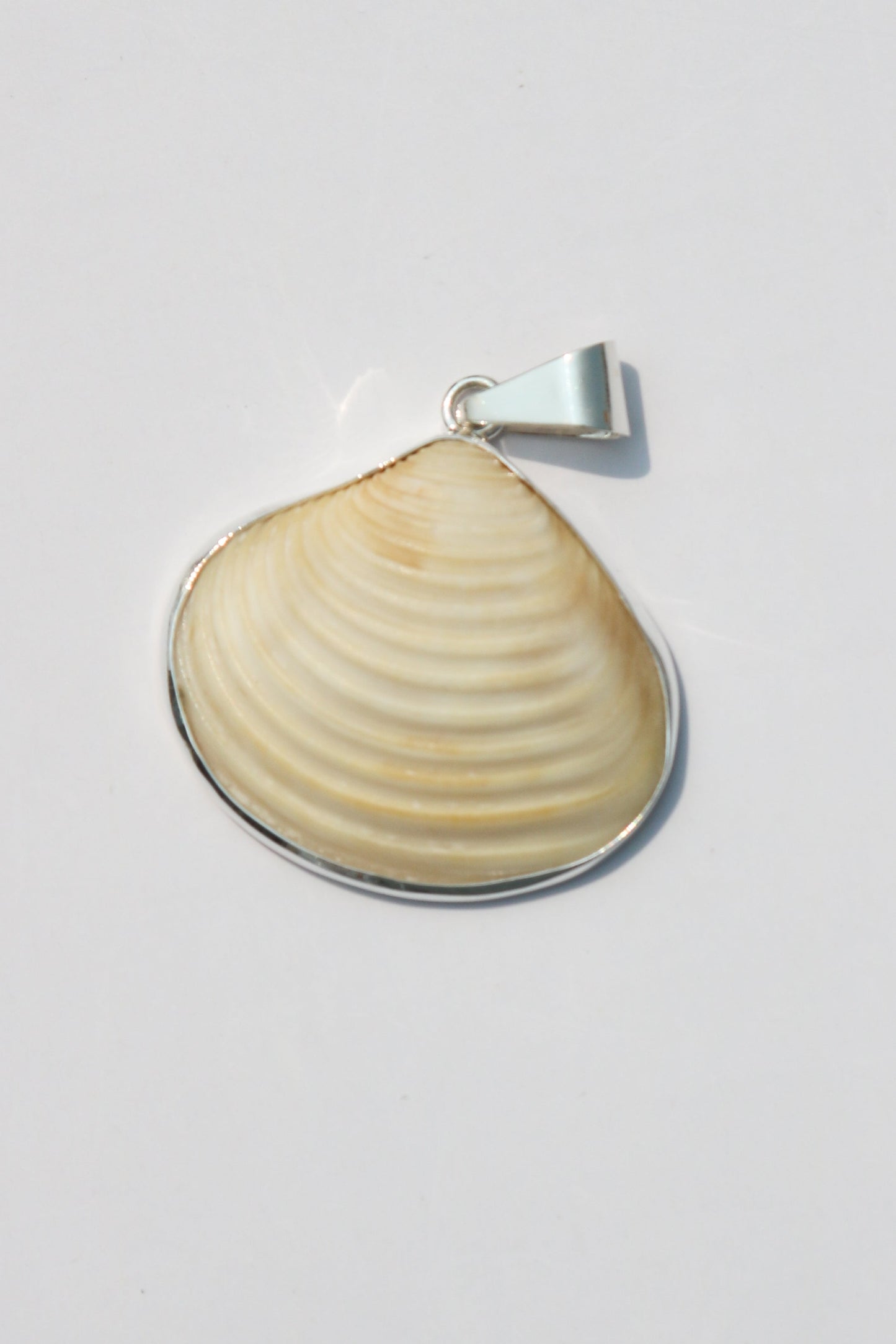 Large Shell Pendants