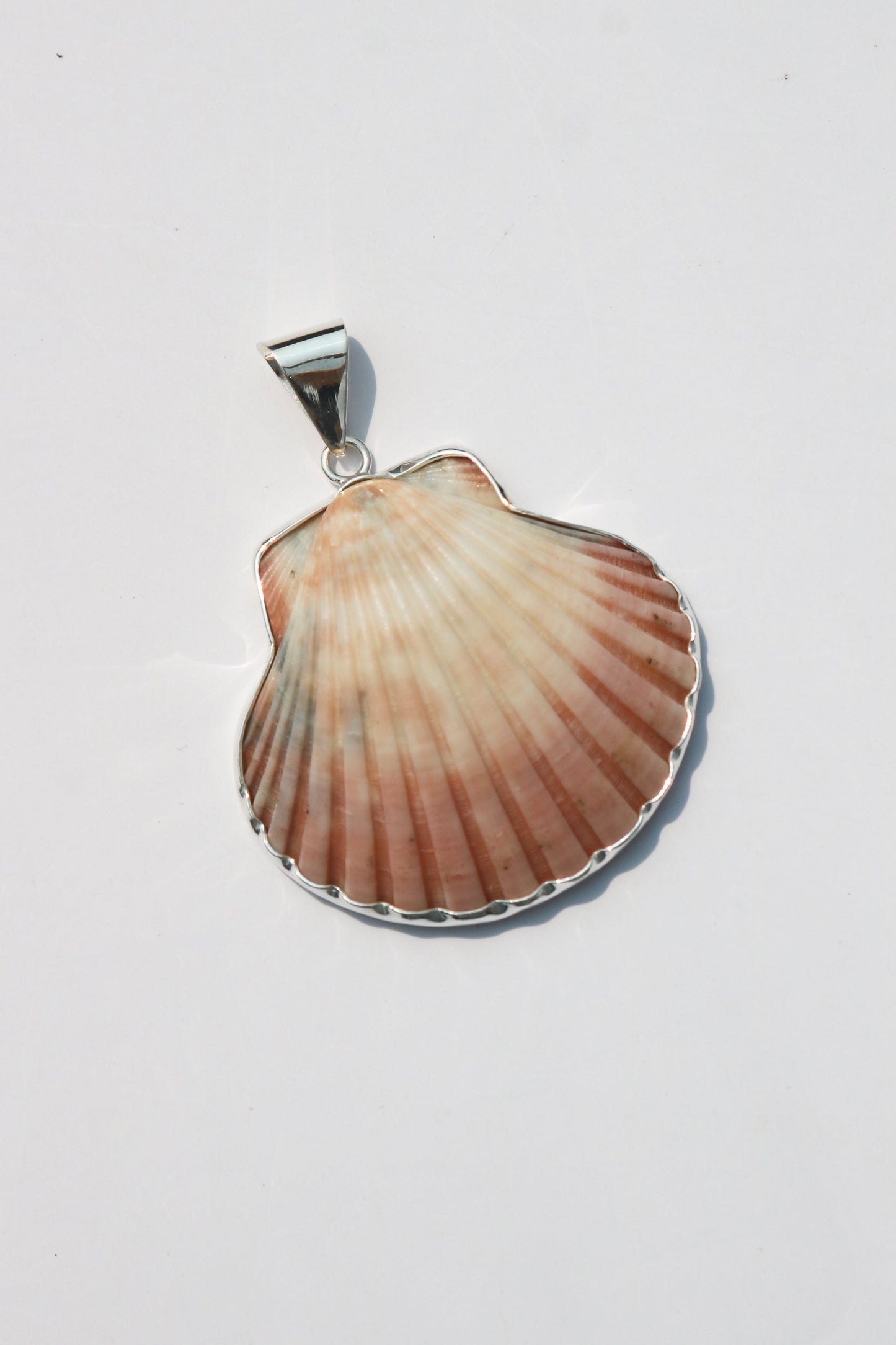 Large Shell Pendants