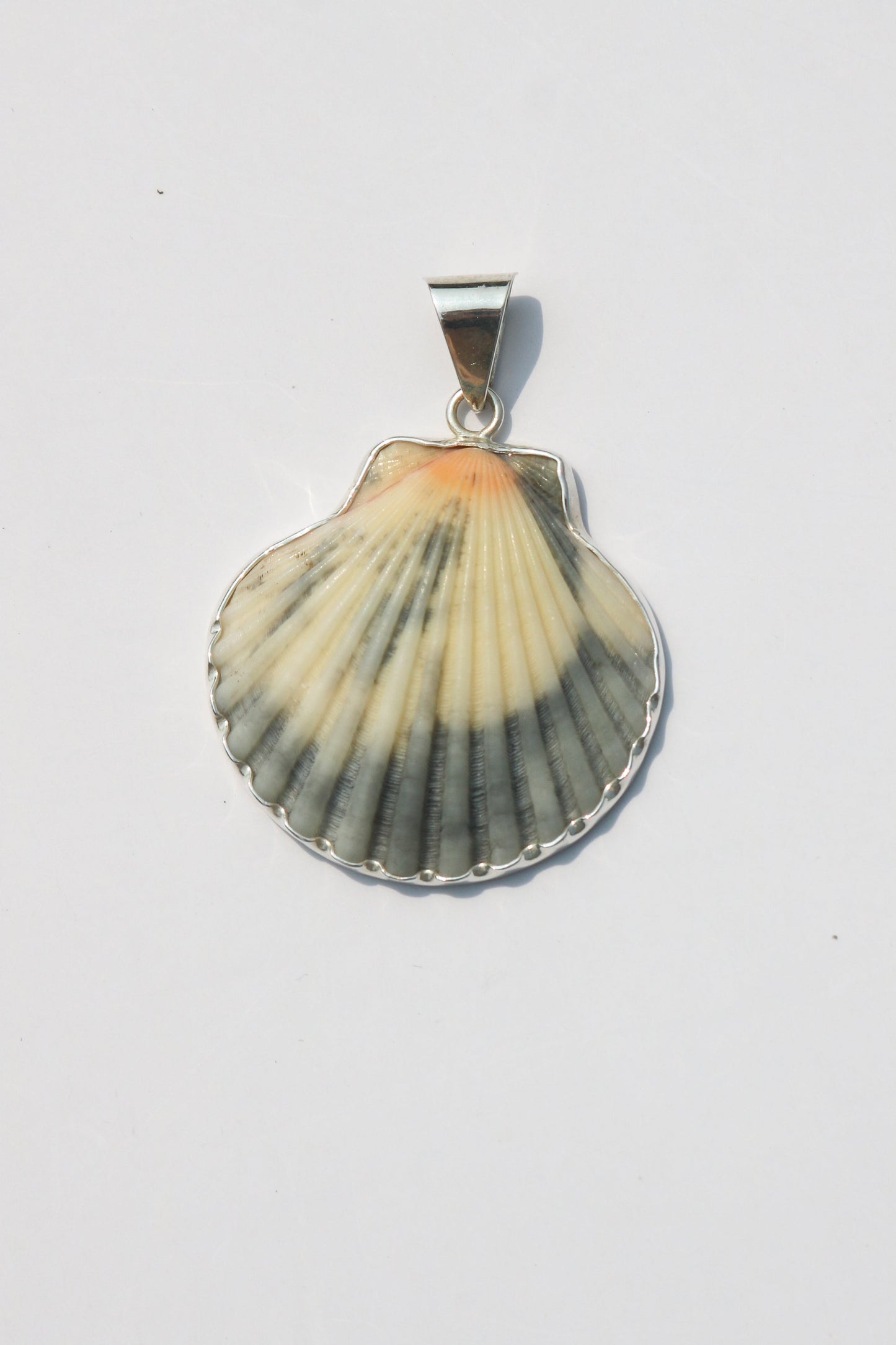 Large Shell Pendants