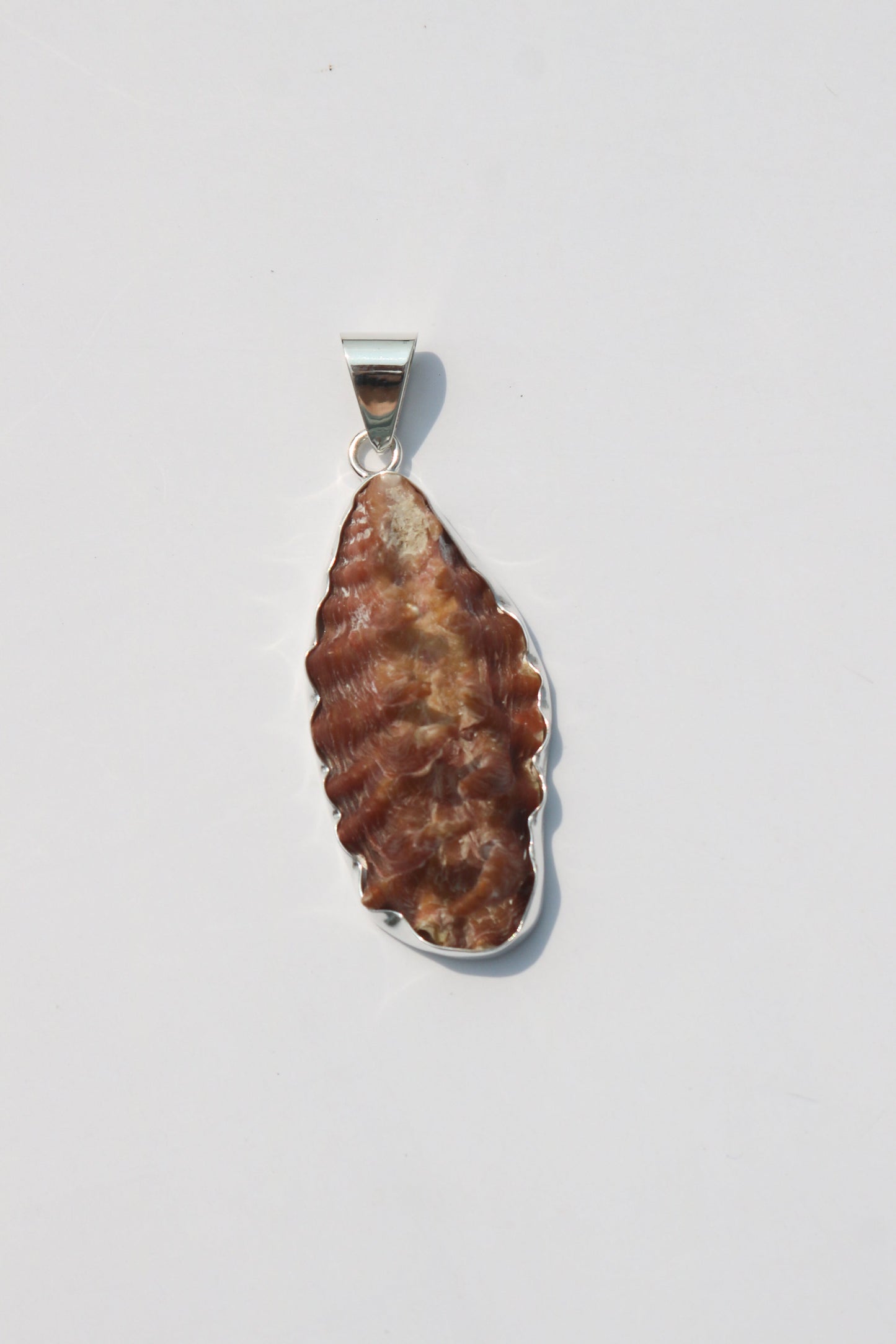 Large Shell Pendants