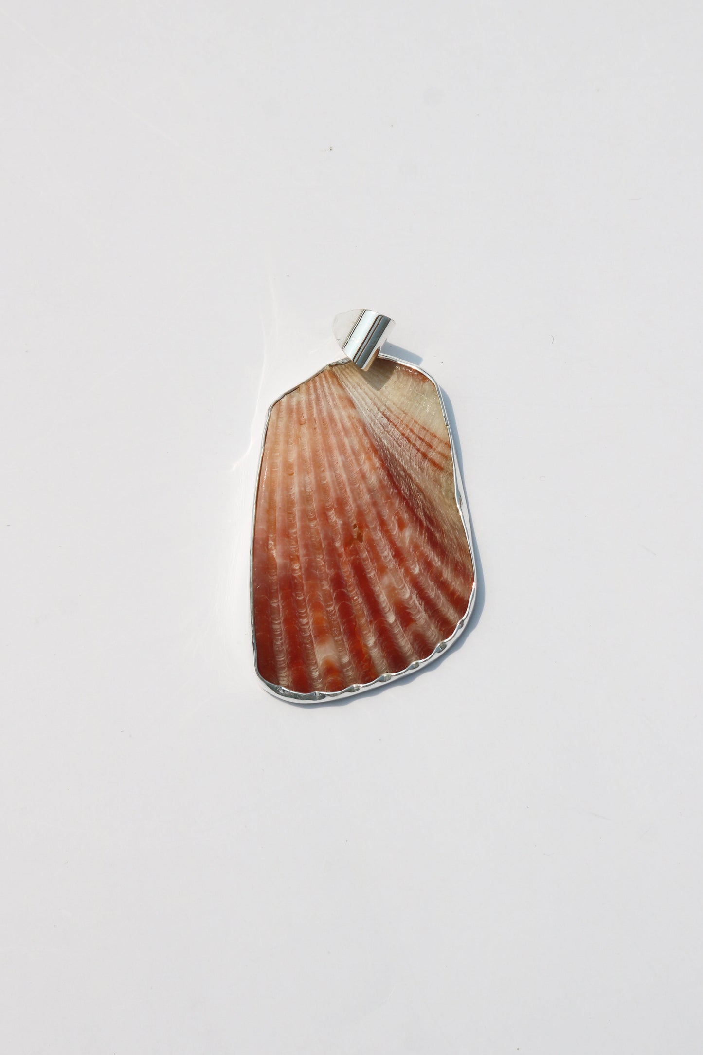 Large Shell Pendants