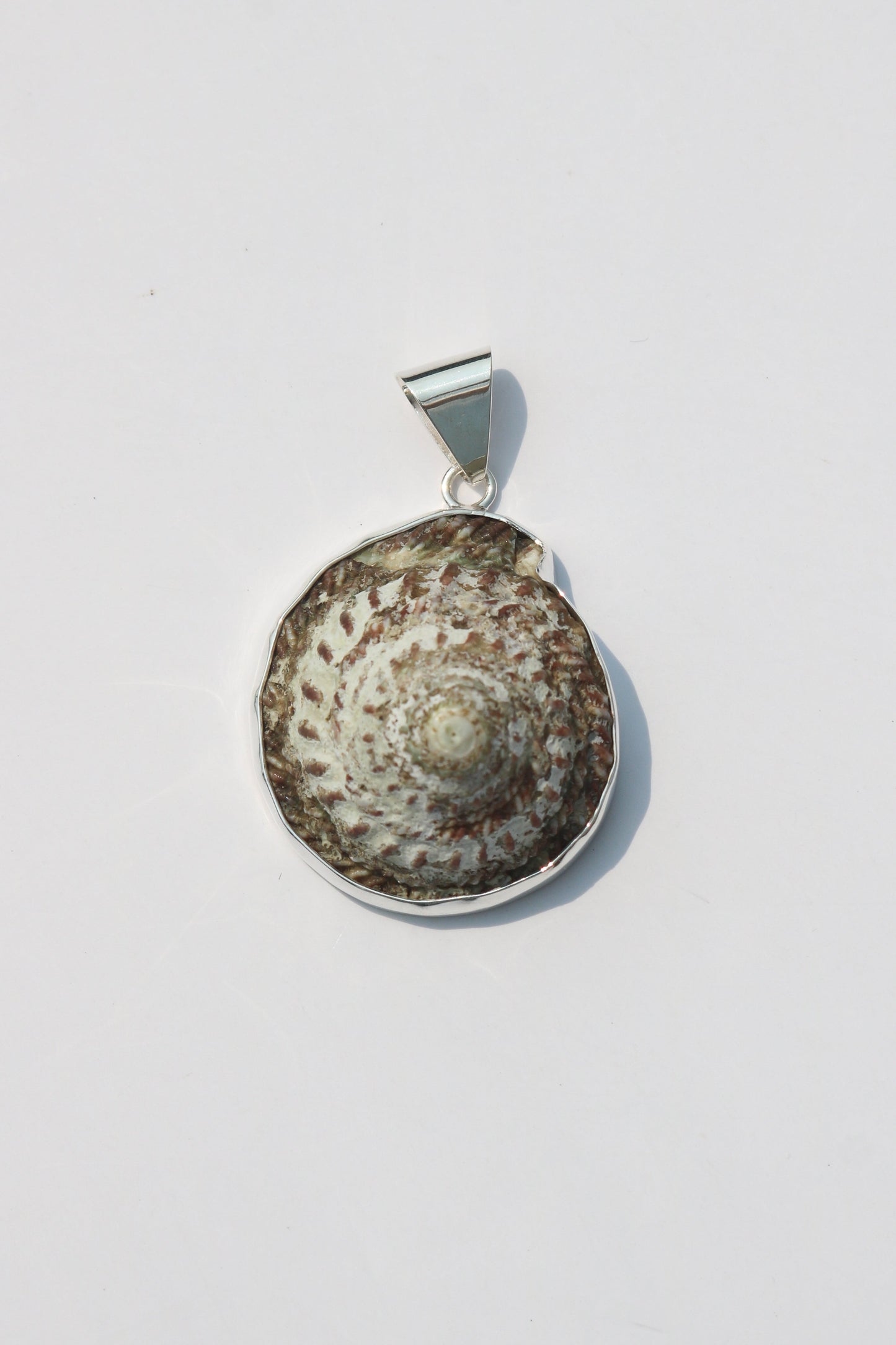 Large Shell Pendants