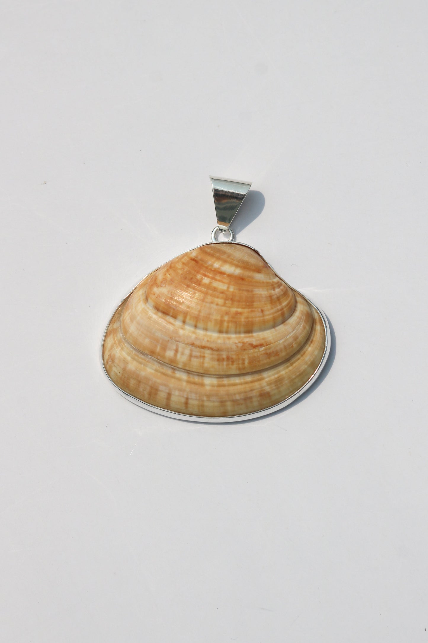 Large Shell Pendants