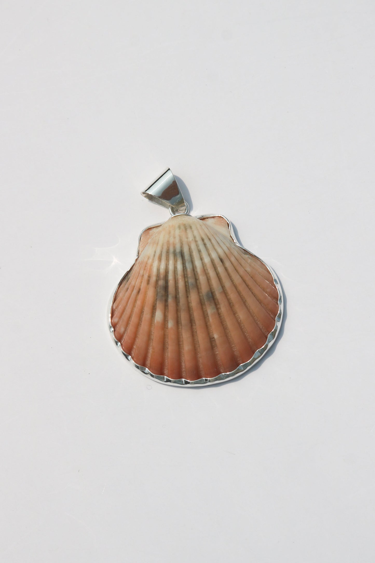 Large Shell Pendants