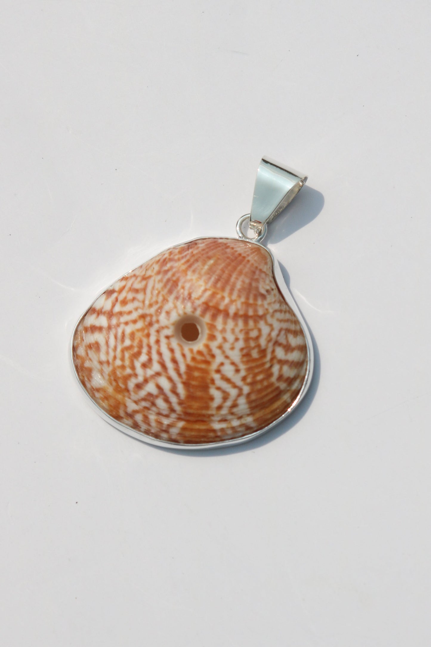 Large Shell Pendants