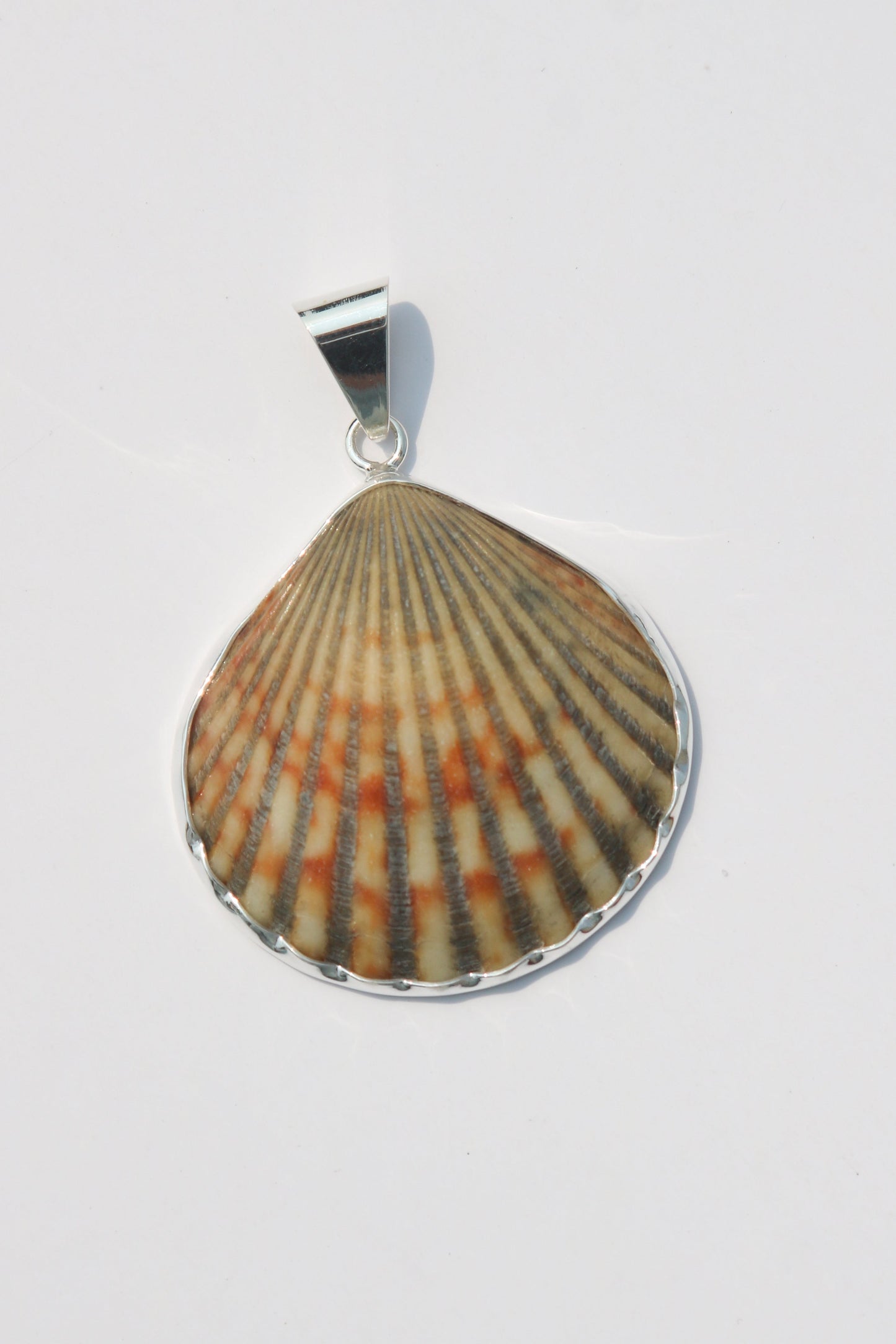 Large Shell Pendants