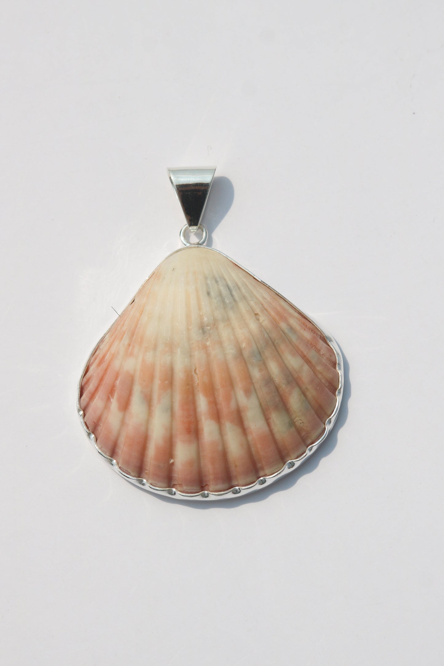 Large Shell Pendants