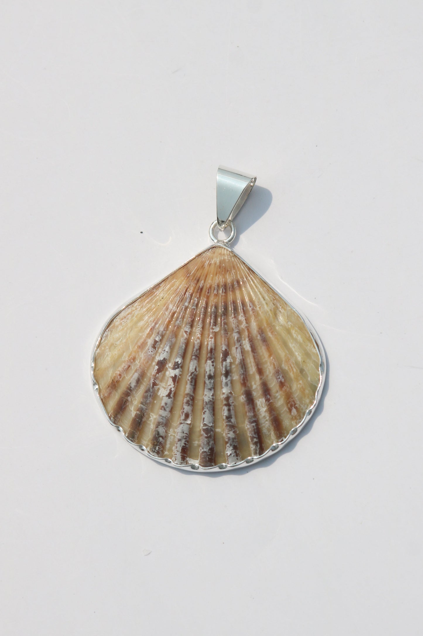 Large Shell Pendants