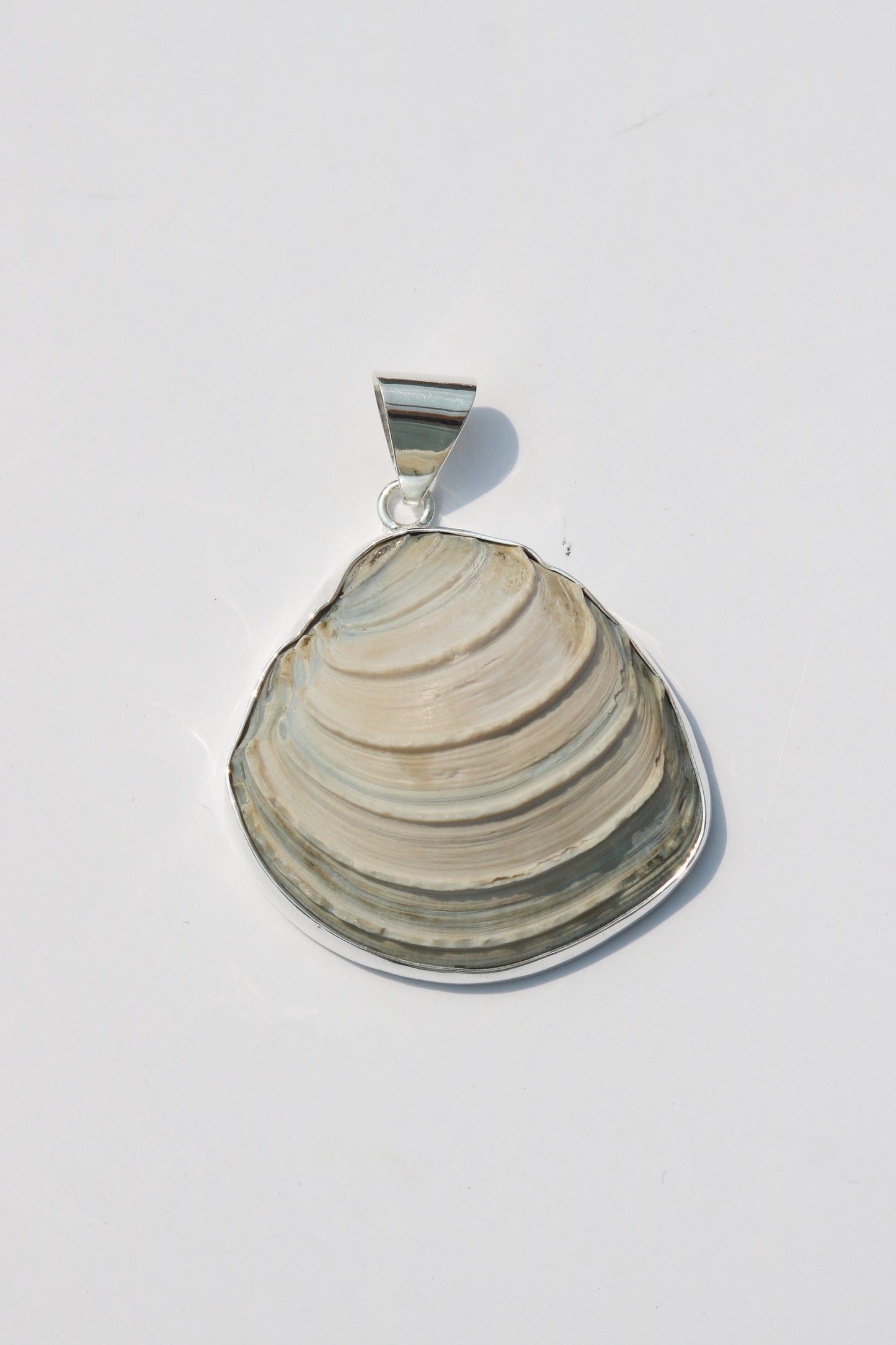 Large Shell Pendants