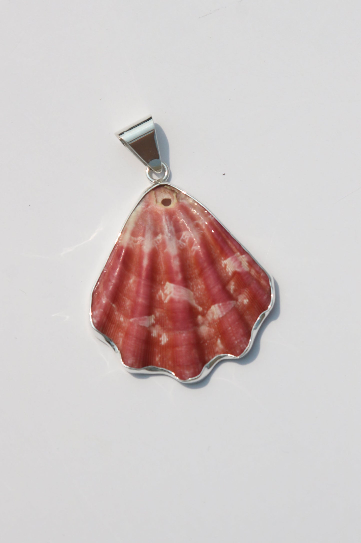 Large Shell Pendants