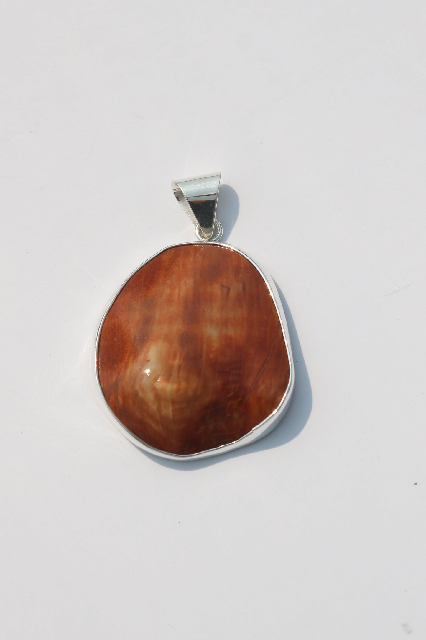 Large Shell Pendants