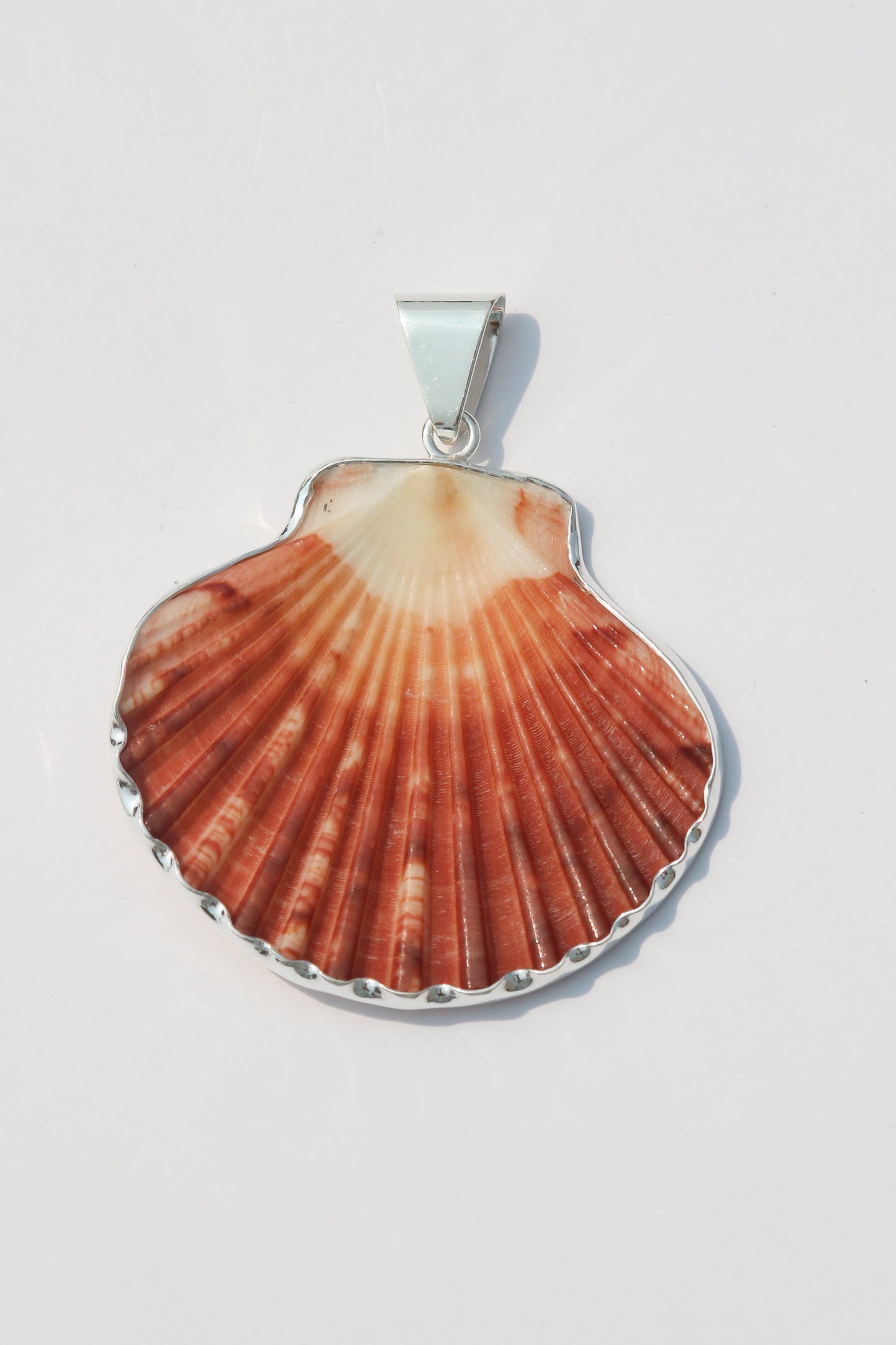 Large Shell Pendants