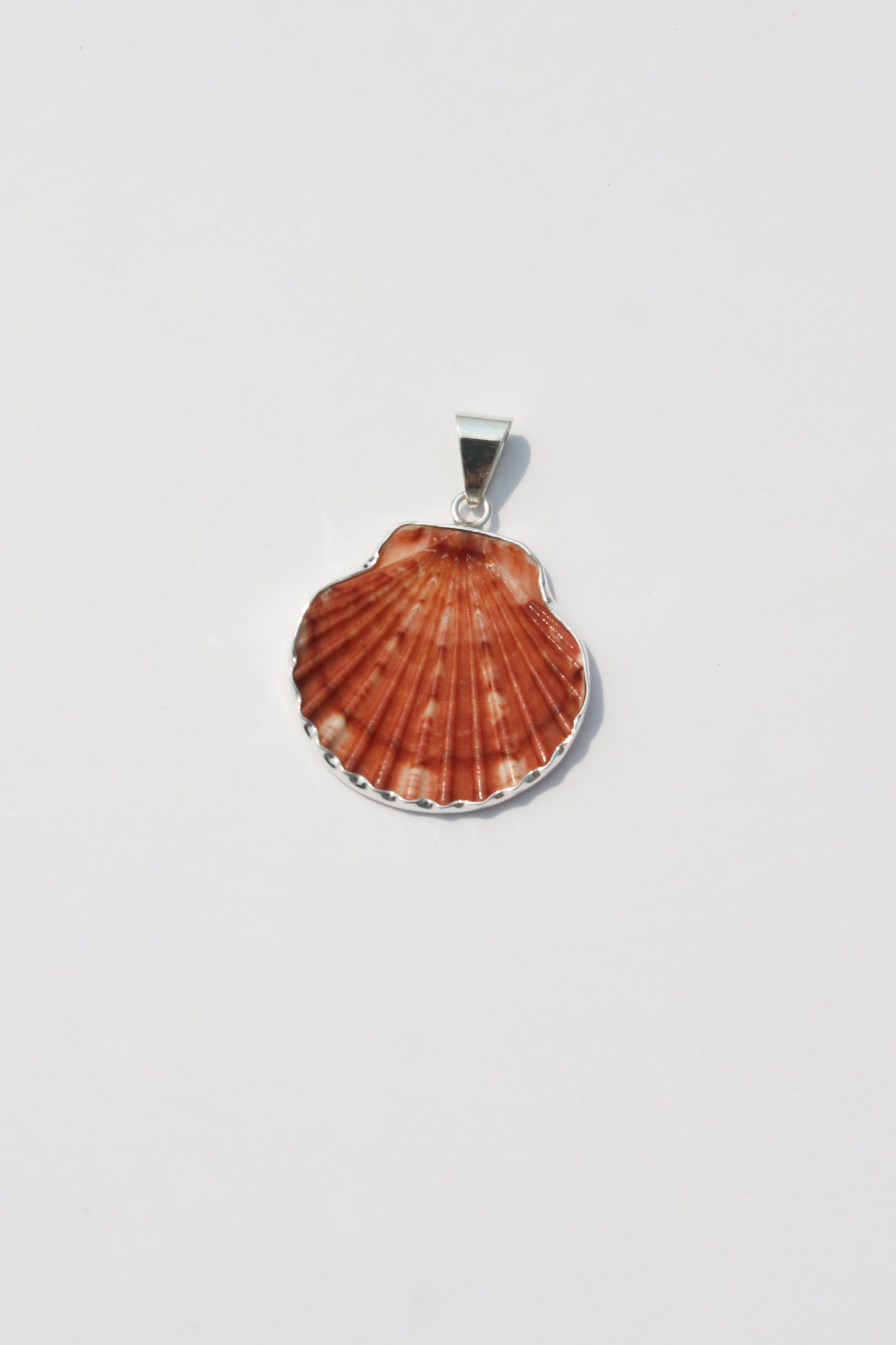 Medium Shell Pendants