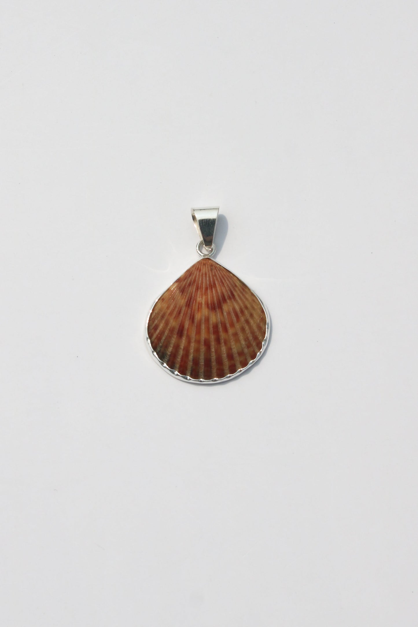 Medium Shell Pendants