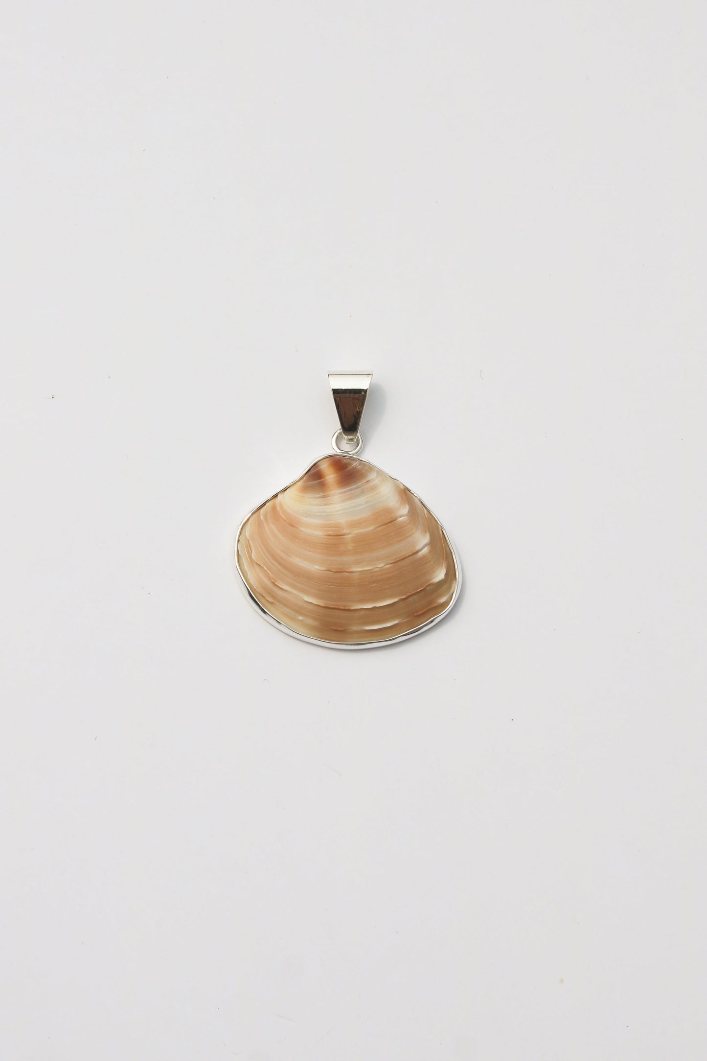 Medium Shell Pendants