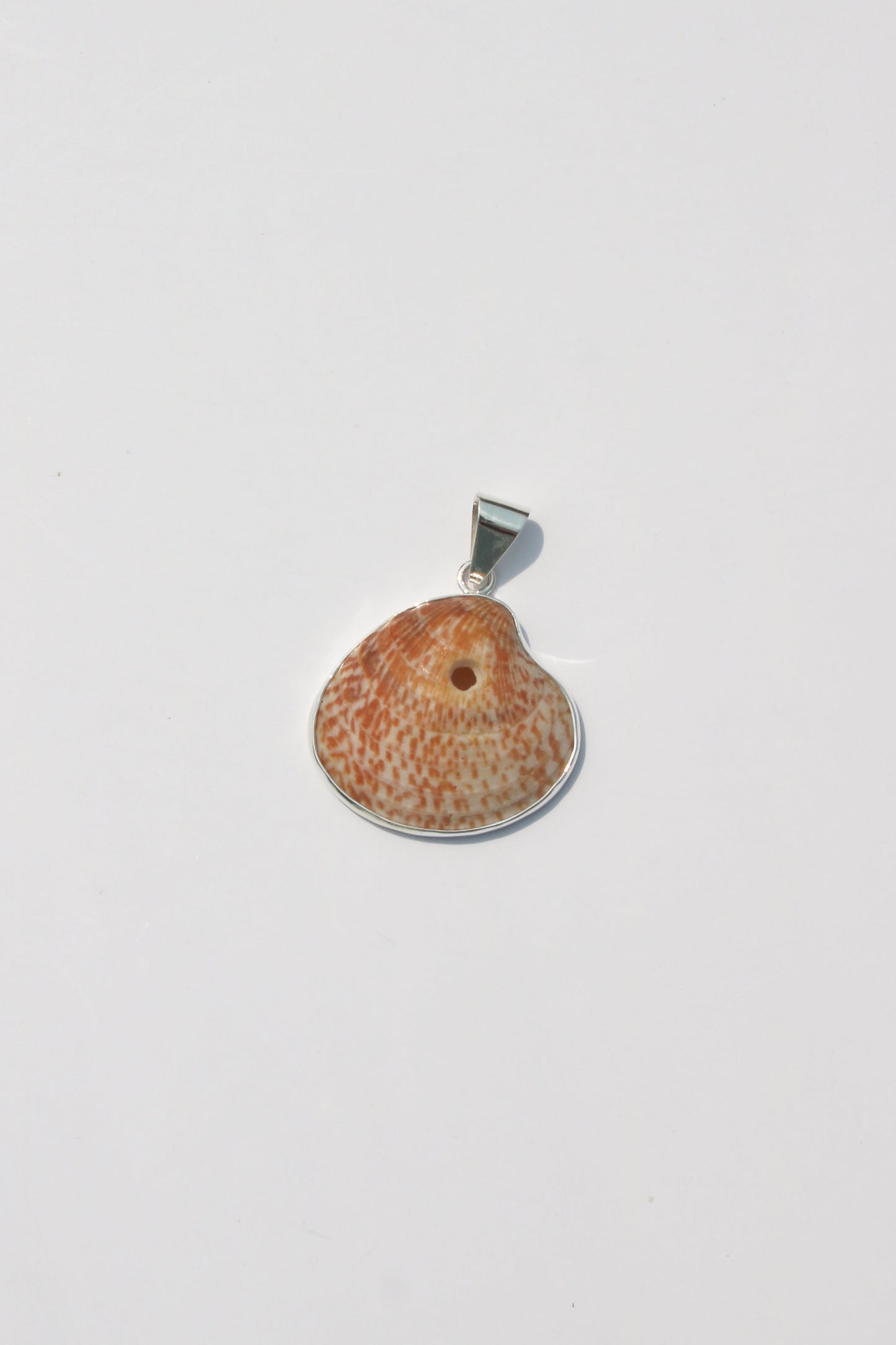 Medium Shell Pendants
