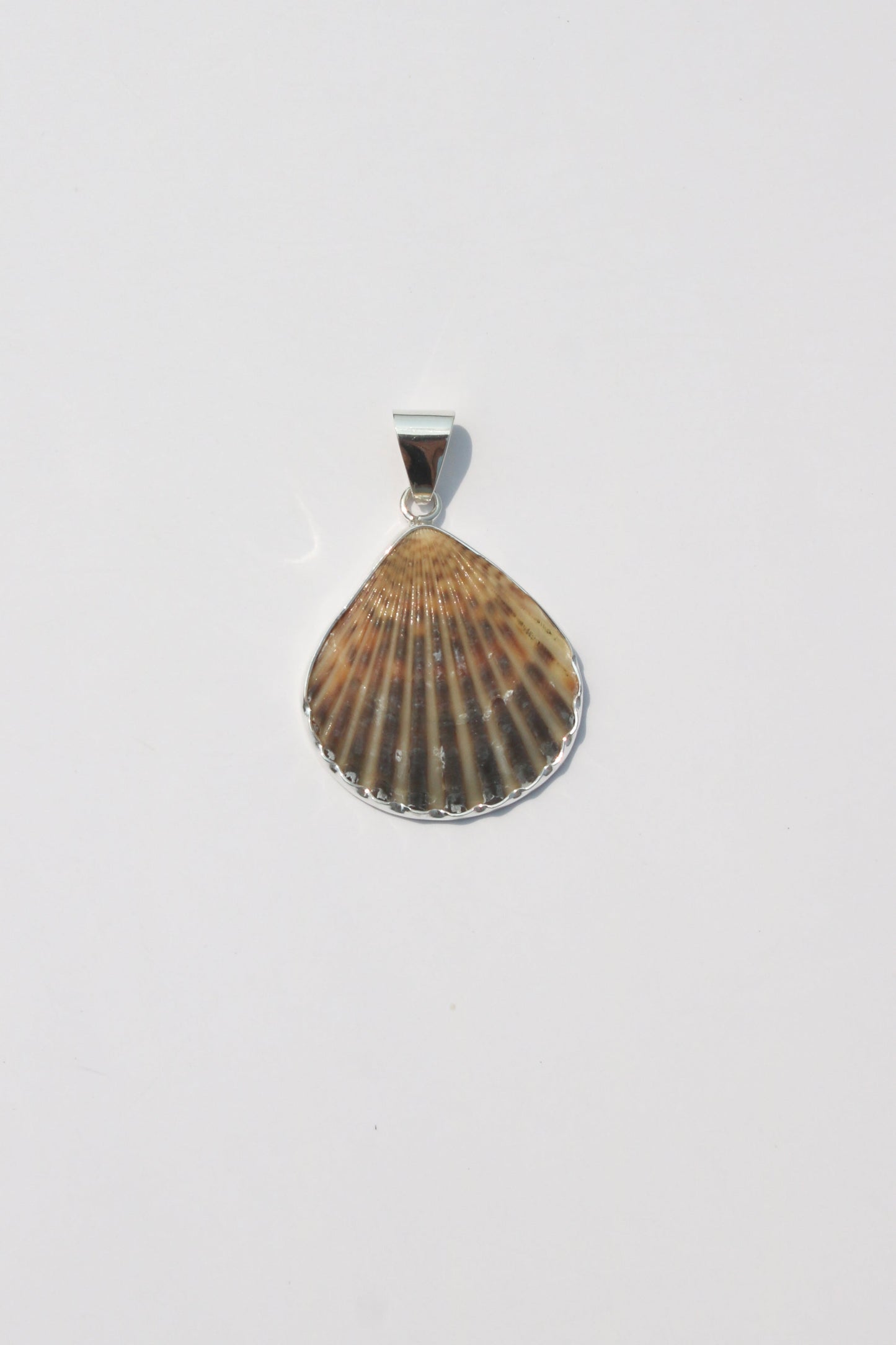 Medium Shell Pendants