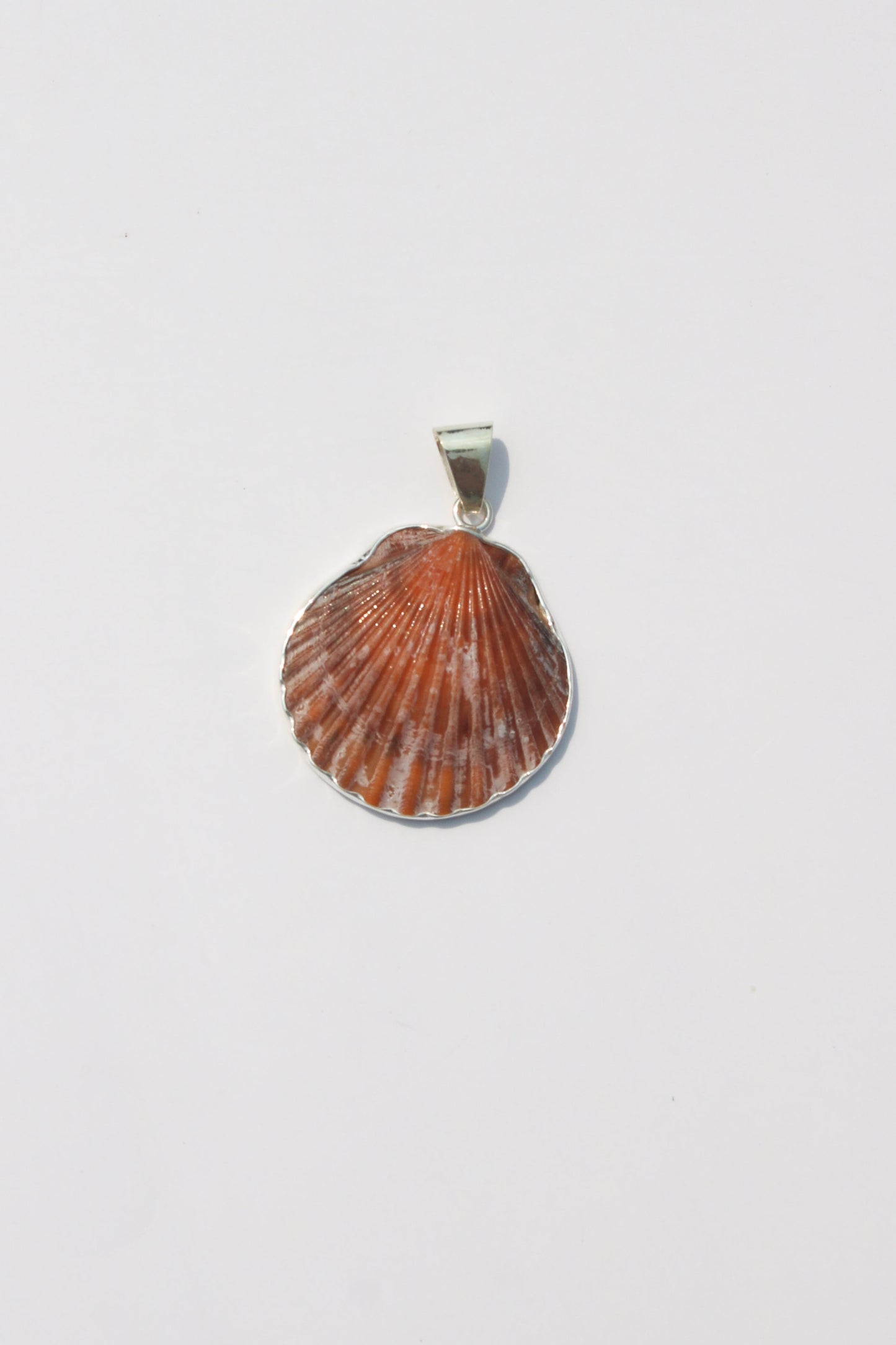 Medium Shell Pendants
