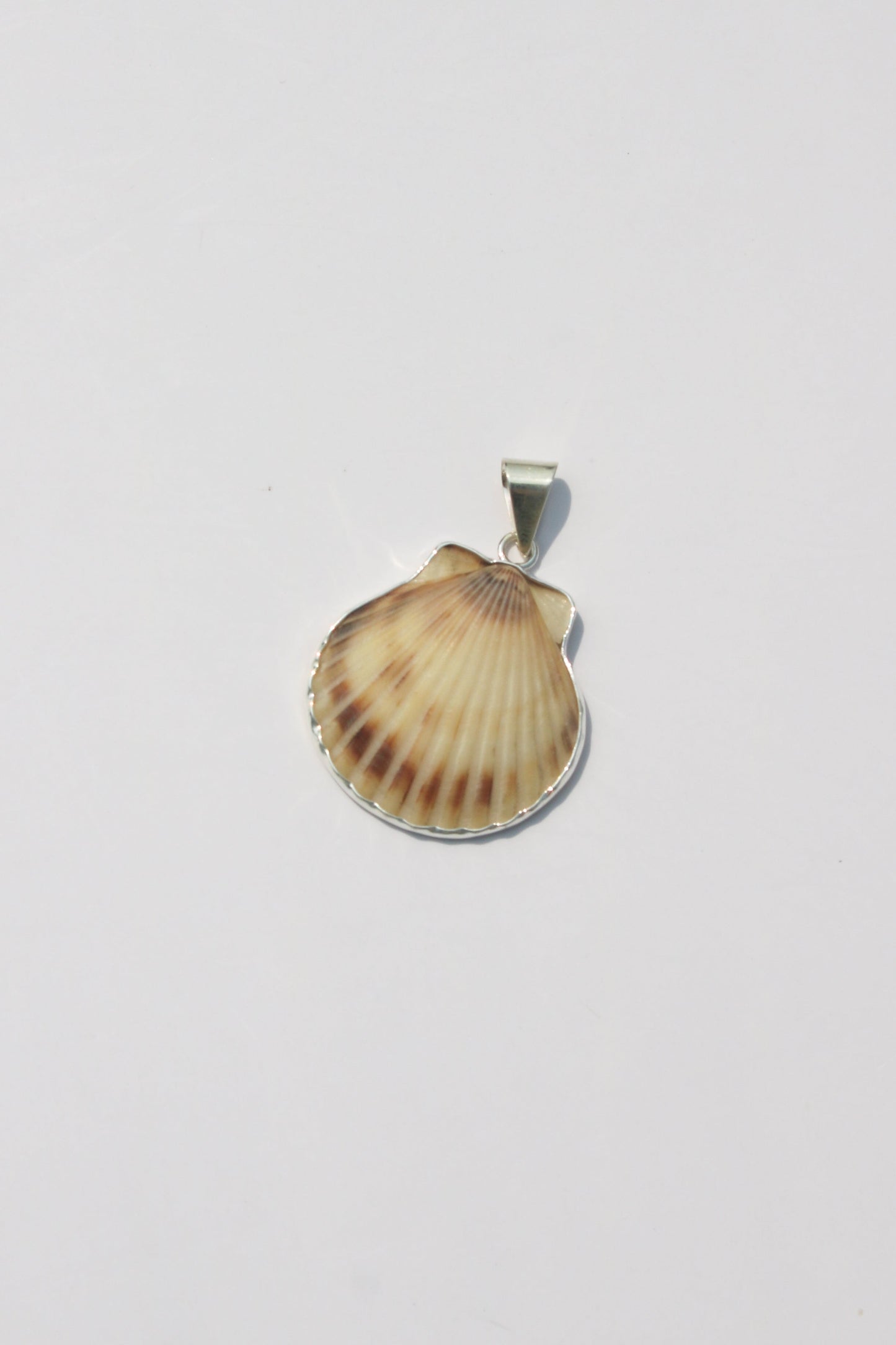 Medium Shell Pendants