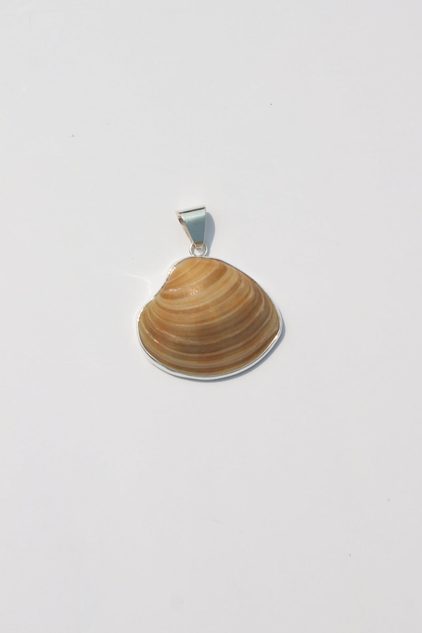 Medium Shell Pendants