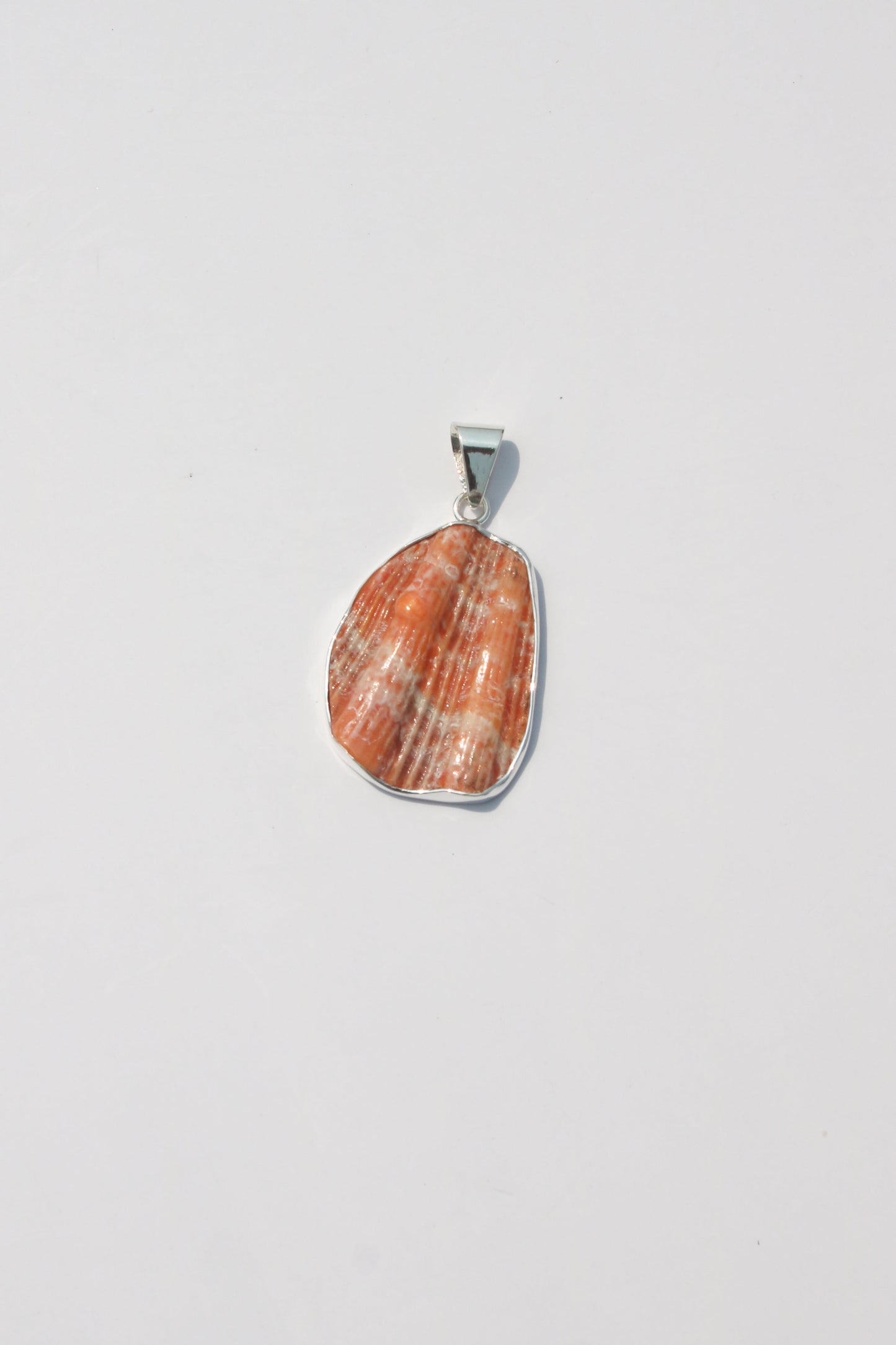 Medium Shell Pendants