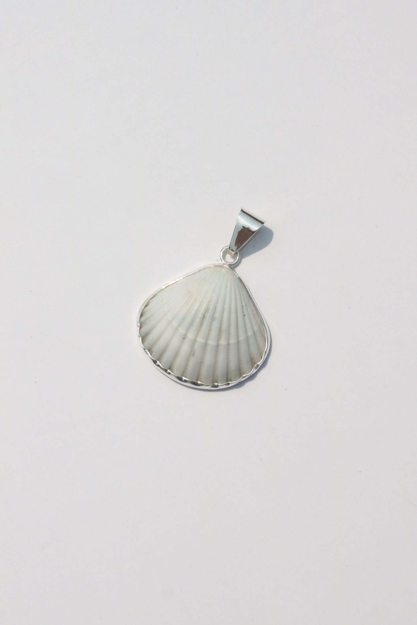 Medium Shell Pendants