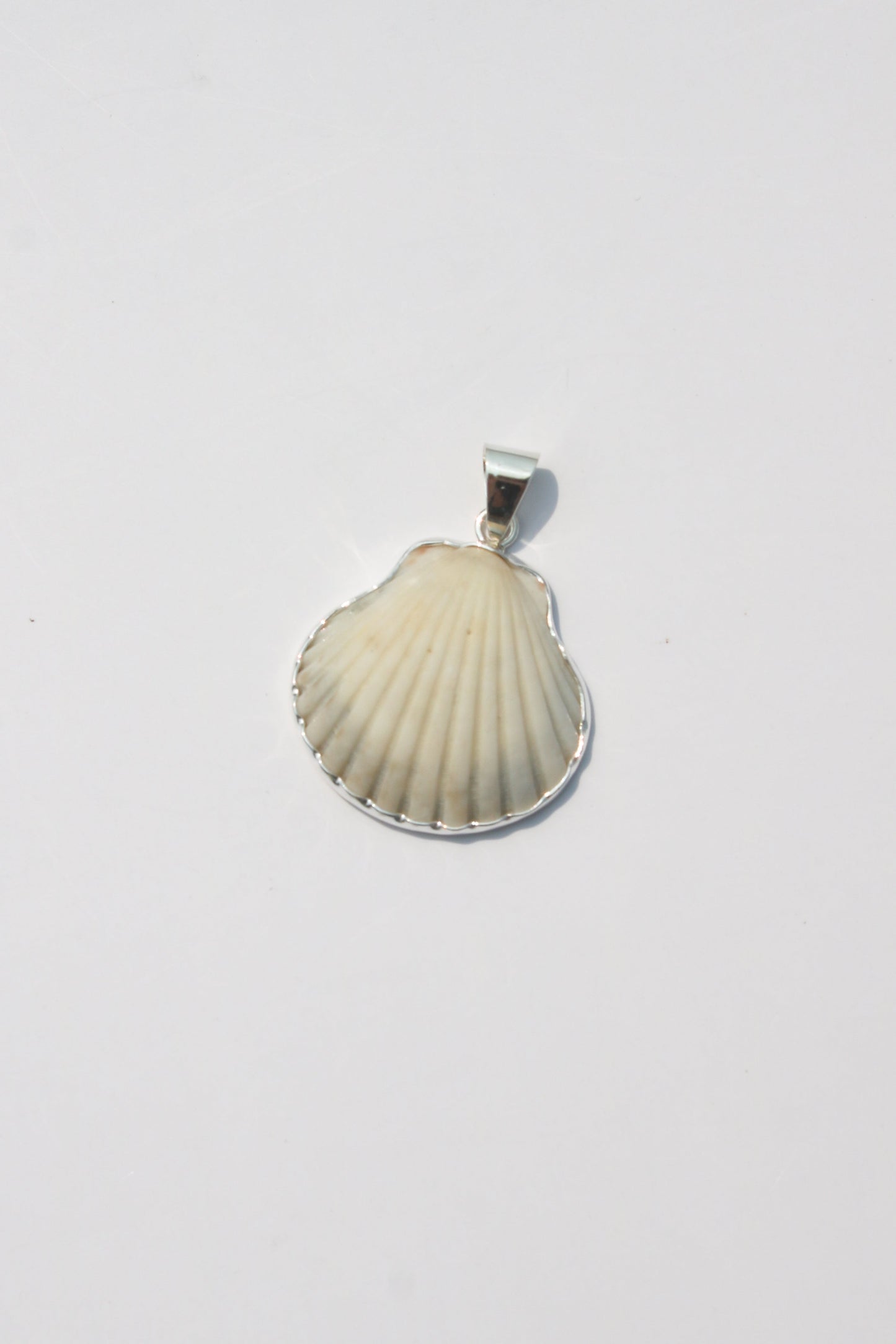 Medium Shell Pendants